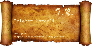 Trieber Marcell névjegykártya